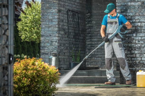 Best Animal Enclosure Cleaning  in Springfield, TN